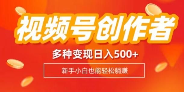 视频号创作者计划，多种变现方式，日入500+【内附1080g视频素材】-一个公司创业项目 - 淘金吧