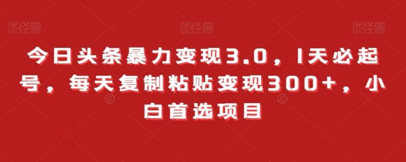 今日头条暴力变现3.0,1天必起号,每天复制粘贴变现300+,小白首选项目-一个公司创业项目 - 淘金吧