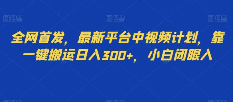 全网首发，最新平台中视频计划，靠一键搬运日入300+，小白闭眼入-一个公司创业项目 - 淘金吧