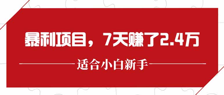 最新暴利项目，每单收益轻松在300以上，7天赚了2.4万-一个公司创业项目 - 淘金吧