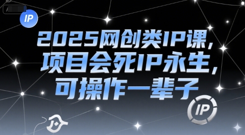 2025网创类IP课,项目会死IP永生,可操作一辈子-一个公司创业项目 - 淘金吧