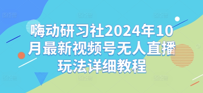 嗨动研习社2024年10月最新视频号无人直播玩法详细教程-一个公司创业项目 - 淘金吧