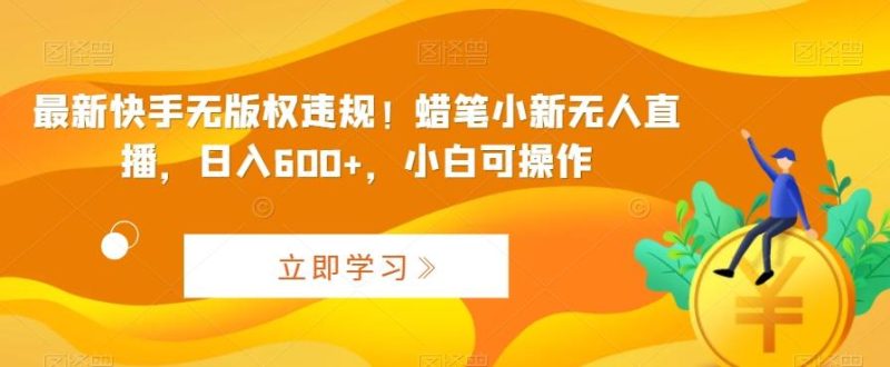 最新快手无版权违规!蜡笔小新无人直播,日入600+,小白可操作【揭秘】-一个公司创业项目 - 淘金吧