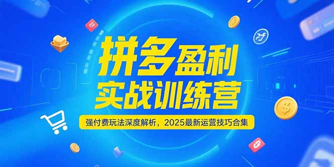 拼多多盈利实战训练营,强付费玩法深度解析,2025运营技巧合集-更新6月-一个公司创业项目 - 淘金吧