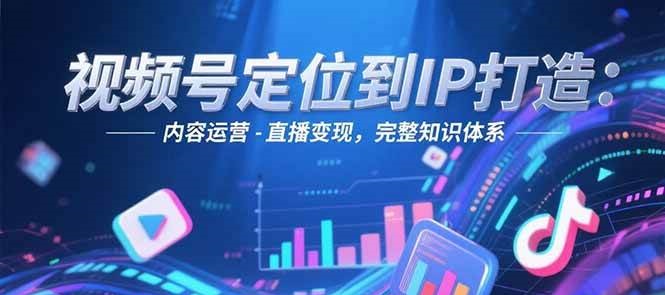 视频号定位到IP打造:账号搭建-内容运营-直播变现,完整知识体系-一个公司创业项目 - 淘金吧