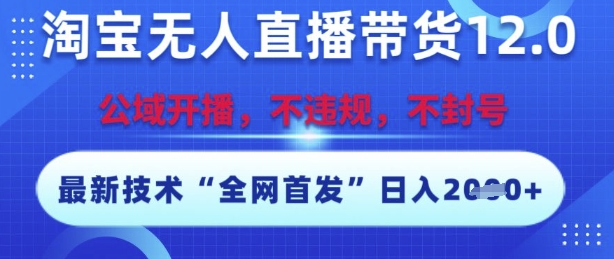 淘宝无人直播带货12.0，最新技术，不封号，不违规，操作简单，开播爆单，日入多张【揭秘】-一个公司创业项目 - 淘金吧