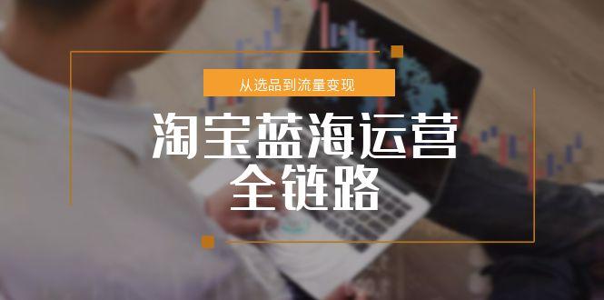 淘宝蓝海运营全链路,从选品到流量变现,小类目突围完整方案-一个公司创业项目 - 淘金吧