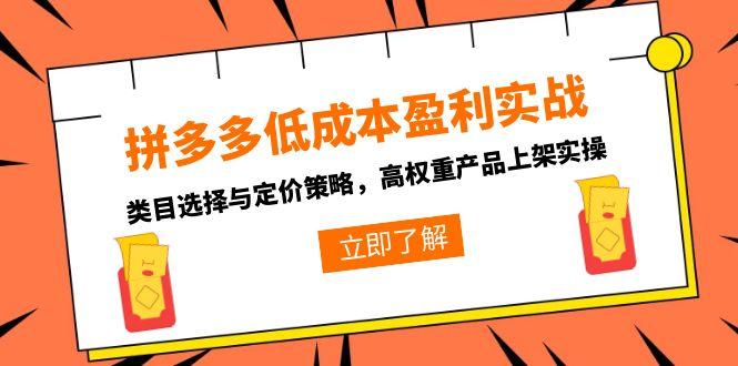 拼多多低成本盈利实战,类目选择与定价策略,高权重产品上架实操-一个公司创业项目 - 淘金吧