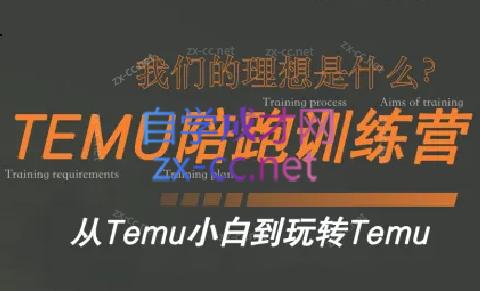 苗苗·拼多多跨境(temu)课程-一个公司创业项目 - 淘金吧