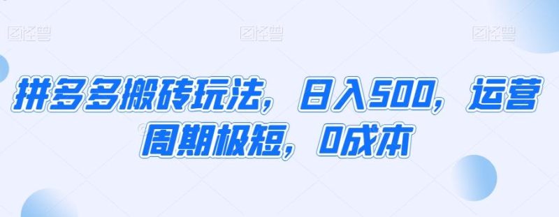 拼多多搬砖玩法,日入500,运营周期极短,0成本-一个公司创业项目 - 淘金吧