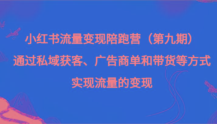 小红书流量变现陪跑营（第九期）通过私域获客、广告商单和带货等方式实现流量变现-一个公司创业项目 - 淘金吧