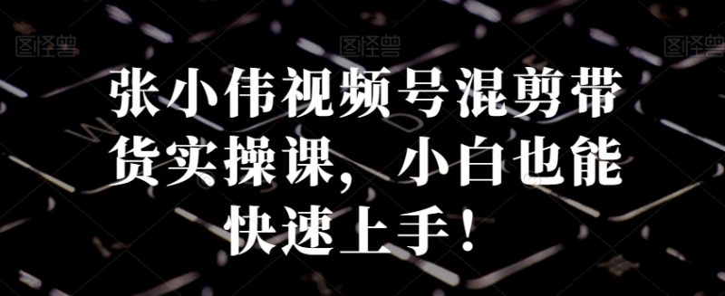 张小伟视频号混剪带货实操课,小白也能快速上手!-一个公司创业项目 - 淘金吧