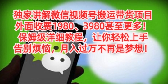 独家讲解微信视频号搬运带货项目，保姆级详细教程-一个公司创业项目 - 淘金吧