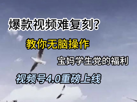 视频号4.0重磅上线,爆款视频难复刻?教你无脑操作宝妈学生党的福利【揭秘】-一个公司创业项目 - 淘金吧