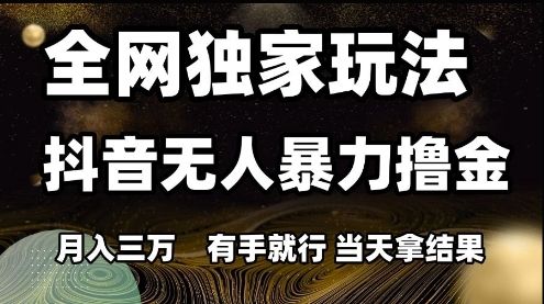全网独家玩法抖音无人暴力撸金,月入3W,有手就行,当天拿结果【揭秘】-一个公司创业项目 - 淘金吧