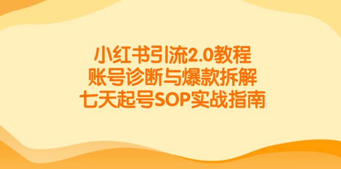 小红书引流2.0教程,账号诊断与爆款拆解,七天起号SOP实战指南-一个公司创业项目 - 淘金吧