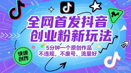 全网首发抖音创业粉新玩法，5分钟一个原创作品，不违规，不废号，流量好-一个公司创业项目 - 淘金吧