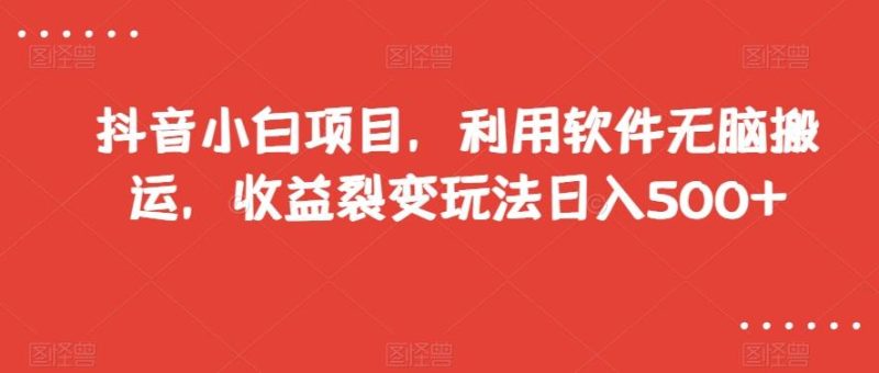 抖音小白项目,利用软件无脑搬运,收益裂变玩法日入500+【揭秘】-一个公司创业项目 - 淘金吧