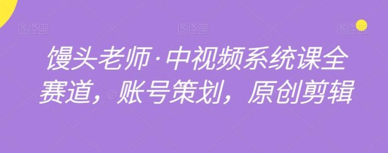馒头老师·中视频系统课全赛道,账号策划,原创剪辑-一个公司创业项目 - 淘金吧