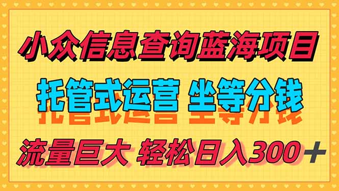 稳定日入300+,小众信息查询蓝海项目,全程懒人式托管,解放你的时间-一个公司创业项目 - 淘金吧