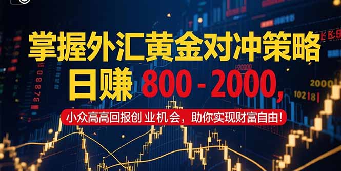 掌握外汇黄金对冲策略，日赚 800 – 2000，小众高回报创业机会，助你实…-一人公司创业项目 - 淘金吧