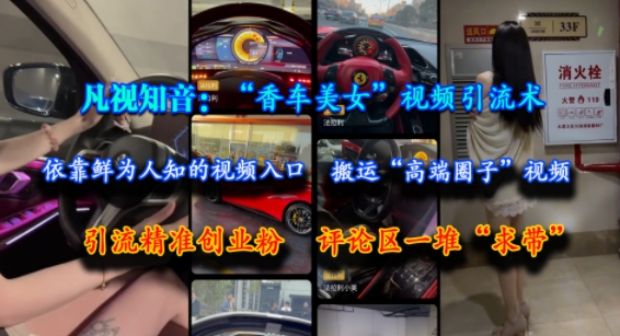 凡视知音:“香车美女”视频引流术,依靠鲜为人知的视频入口,搬运“高端圈子”视频,引流精准创业粉,评论区一堆“求带”-一个公司创业项目 - 淘金吧