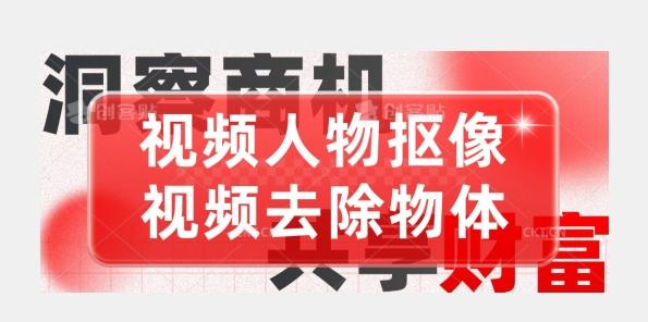 【超强视频处理工具】视频人物抠像+视频去除物体-一个公司创业项目 - 淘金吧