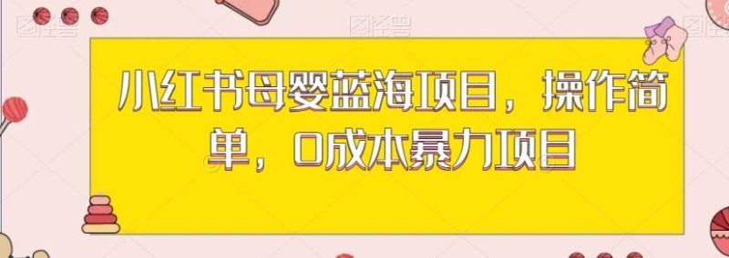 小红书母婴蓝海项目，操作简单，0成本暴力项目-一个公司创业项目 - 淘金吧