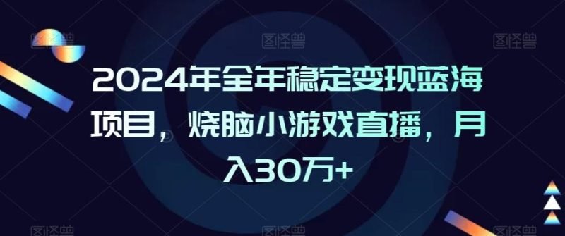 2024年全年稳定变现蓝海项目，烧脑小游戏直播，月入30万+【揭秘】-一个公司创业项目 - 淘金吧