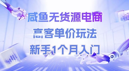 咸鱼无货源电商,高客单价玩法,新手1个月入门-一个公司创业项目 - 淘金吧