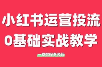 李老师·小红书运营投流,0基础实战教学(更新)-一个公司创业项目 - 淘金吧