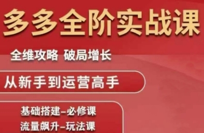 拼多多全阶实战课程,全维攻略,破局增长,从新手到运营高手-一个公司创业项目 - 淘金吧
