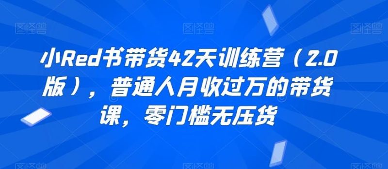 小Red书带货42天训练营(2.0版),普通人月收过万的带货课,零门槛无压货-一个公司创业项目 - 淘金吧