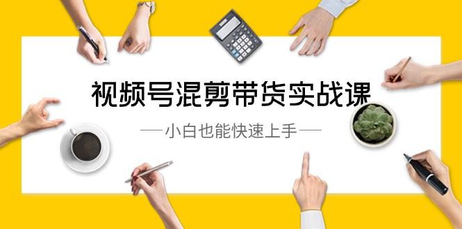 视频号混剪带货实战课，小白也能快速上手（10节课）-一个公司创业项目 - 淘金吧