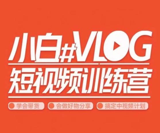 小呆说视–小白VLOG短视频训练营,学会带货、好物、直播、中视频-一个公司创业项目 - 淘金吧