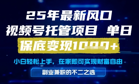 25年最新风口,视频号托管项目,单日保底变现1k+,手把手教学【揭秘】-一个公司创业项目 - 淘金吧