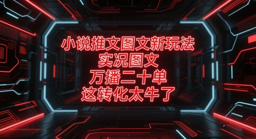 小说推文图文新玩法,实况图文,万播二十单,这转化太牛了!-一个公司创业项目 - 淘金吧