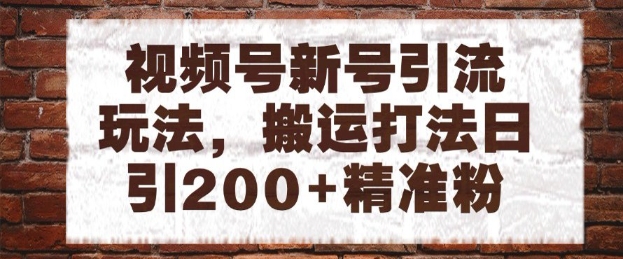 视频号新号引流玩法,搬运打法日引200+精准粉,可矩阵放大【揭秘】-一个公司创业项目 - 淘金吧