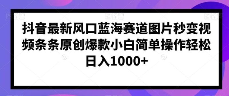 抖音最新风口蓝海赛道图片秒变视频条条原创爆款小白简单操作轻松日入1000+-一个公司创业项目 - 淘金吧