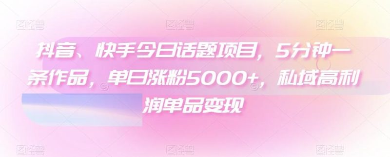 抖音、快手今日话题项目,5分钟一条作品,单日涨粉5000+,私域高利润单品变现-一个公司创业项目 - 淘金吧