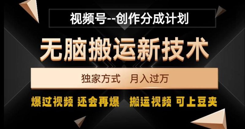 视频号无脑搬运新技术，破原创壕流量，独家方式，爆过视频，还会再爆【揭秘】-一个公司创业项目 - 淘金吧