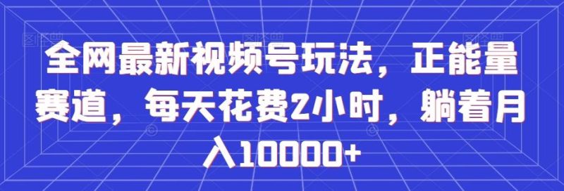 全网最新视频号玩法，正能量赛道，每天花费2小时，躺着月入10000+【揭秘】-一个公司创业项目 - 淘金吧
