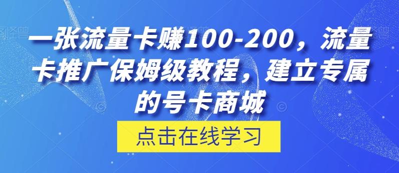一张流量卡赚100-200，流量卡推广保姆级教程，建立专属的号卡商城-一个公司创业项目 - 淘金吧
