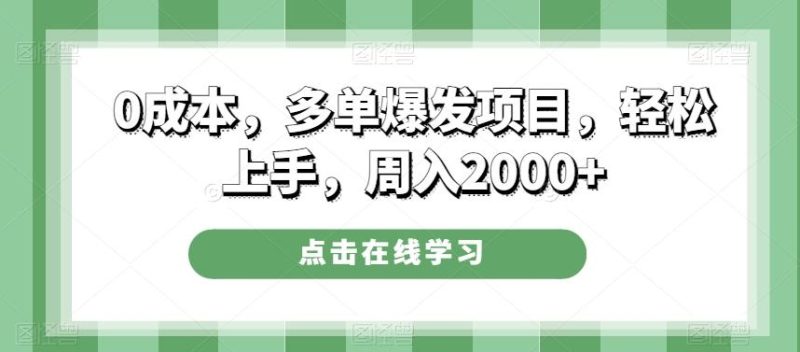 0成本，多单爆发项目，轻松上手，周入2000+-一个公司创业项目 - 淘金吧