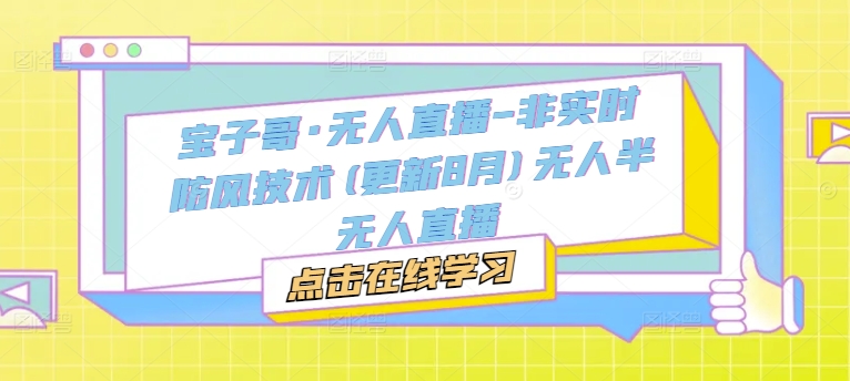 宝子哥·无人直播-非实时防风技术(更新9月)无人半无人直播-一个公司创业项目 - 淘金吧