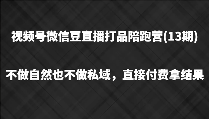 视频号微信豆直播打品陪跑(13期)，不做不自然流不做私域，直接付费拿结果-一个公司创业项目 - 淘金吧