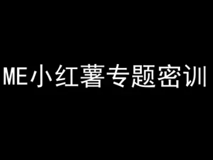 ME小红薯专题密训-小红书电商教程-一个公司创业项目 - 淘金吧