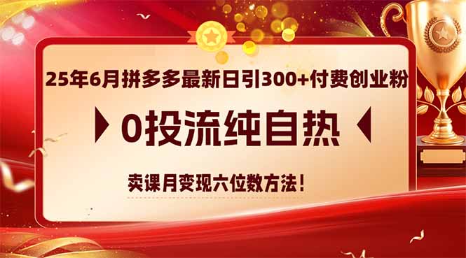 25年6月拼多多最新日引300+付费创业粉，0投流纯自热 卖课月变现六位数方法-一个公司创业项目 - 淘金吧