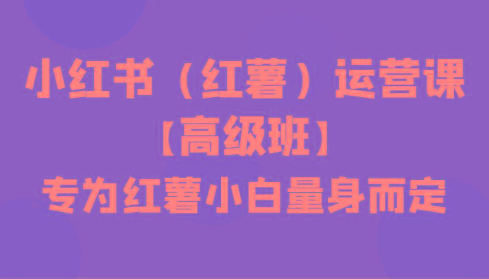 小红书(红薯)运营课【高级班】,专为红薯小白量身而定(42节课)-一个公司创业项目 - 淘金吧