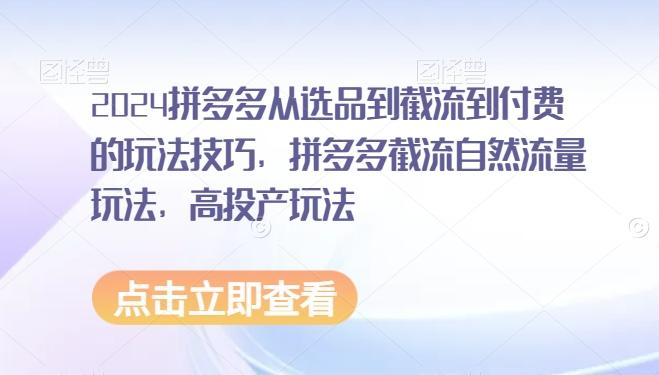 2024拼多多从选品到截流到付费的玩法技巧，拼多多截流自然流量玩法，高投产玩法-一个公司创业项目 - 淘金吧